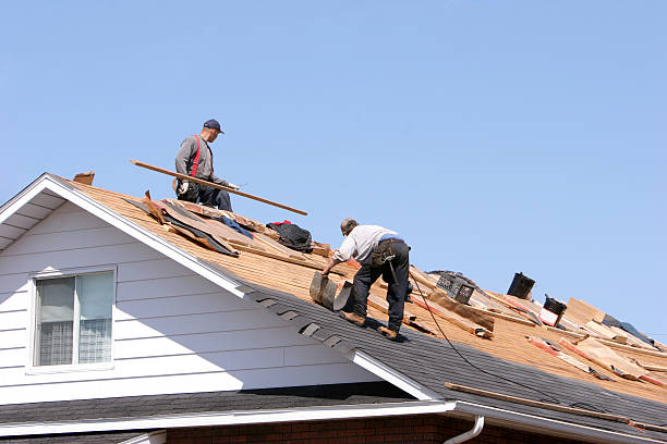 Best Roof Leak Repair  in Genoa City, WI